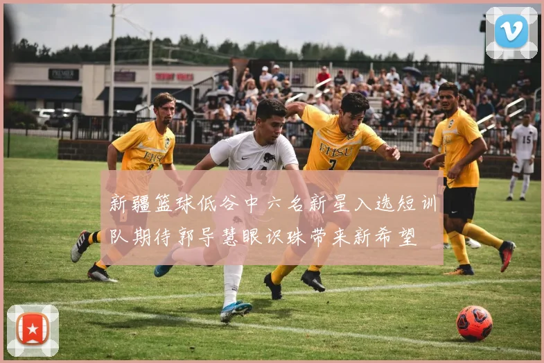 新疆篮球低谷中六名新星入选短训队期待郭导慧眼识珠带来新希望