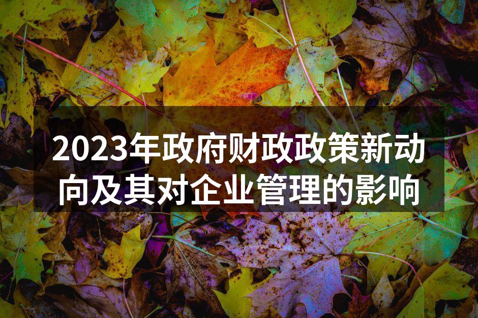 2023年政府财政政策新动向及其对企业管